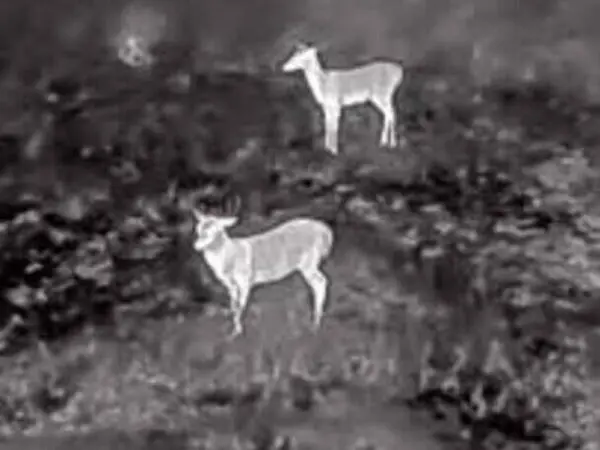 Kamera-termowizyjna-Caddx-Eclipse-002SL-FN-FT652